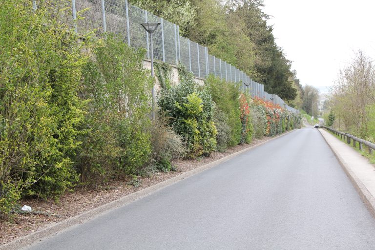 03 - Montataire - Allée des Marronniers