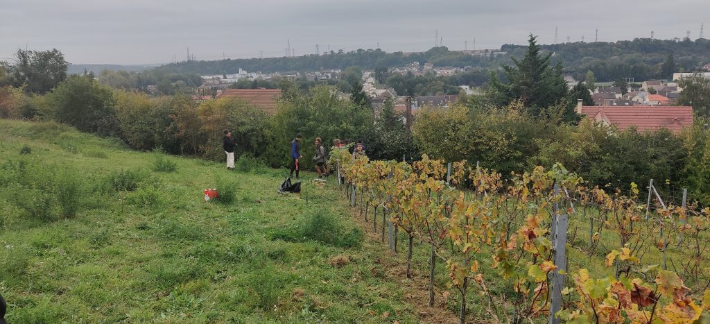 08 - Montataire - Cheres-Vignes-Guesde-Cité