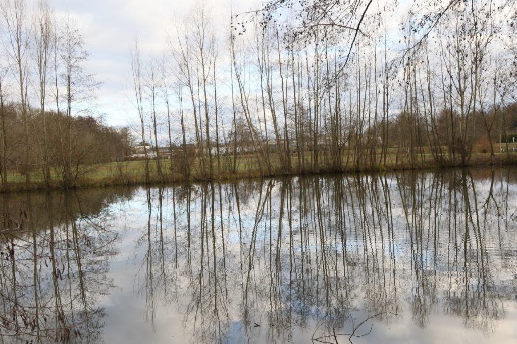 100 - Montataire - Rue Andrée Ginisti - Parc urbain - Etang