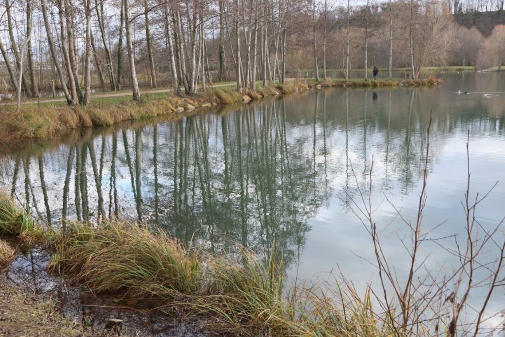 102 - Montataire - Rue Andrée Ginisti - Parc urbain - Etang
