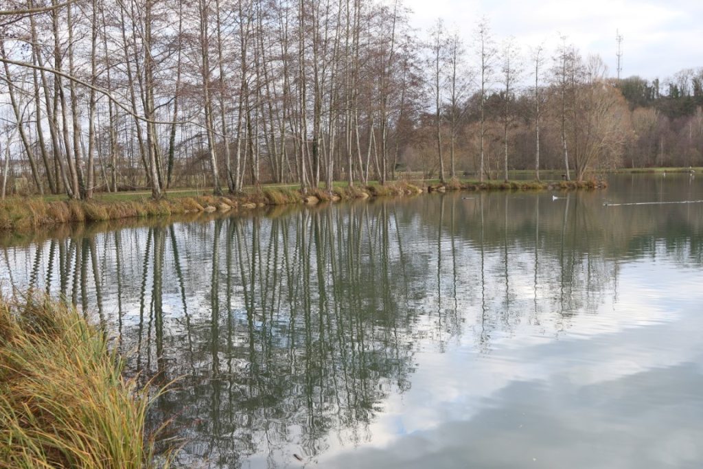 103 - Montataire - Rue Andrée Ginisti - Parc urbain - Etang