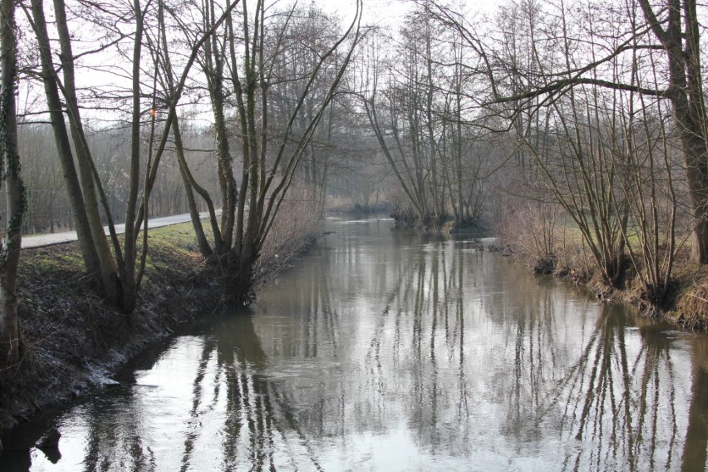 104 - Montataire - Rue Andrée Ginisti - Parc urbain - Etang