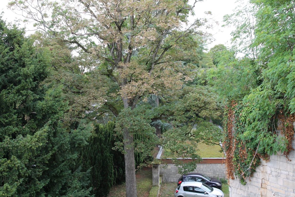 105 - Montataire - Chateau - Vue panorama