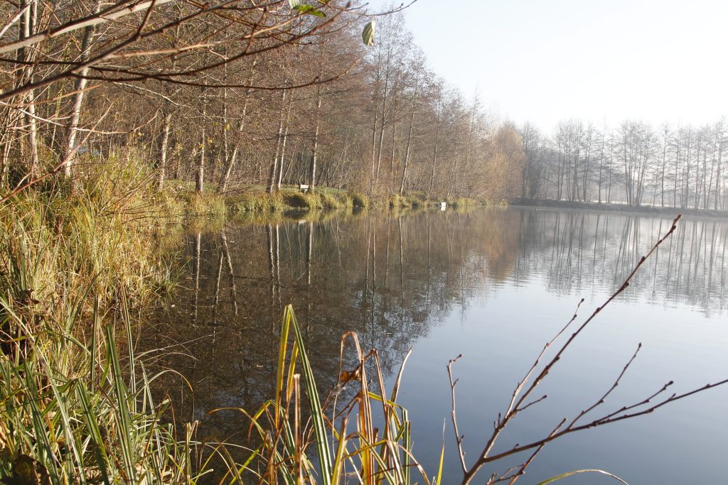 115 - Montataire - Rue Andrée Ginisti - Parc urbain - Etang