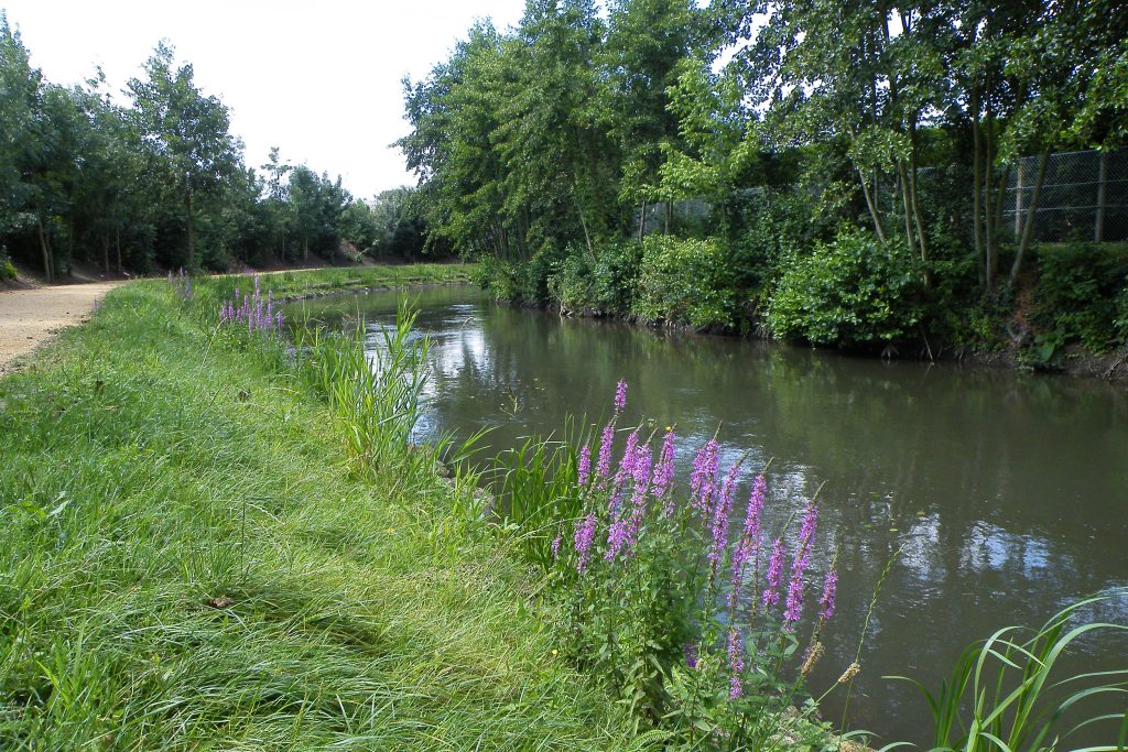 204 - Montataire - Le Thérain