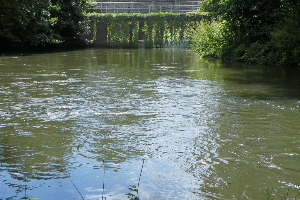 207 - Montataire - Le Thérain