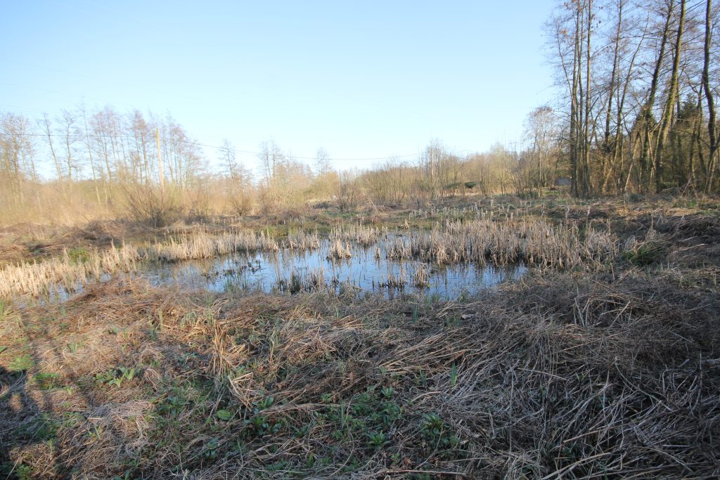 221 - Montataire - Le Thérain