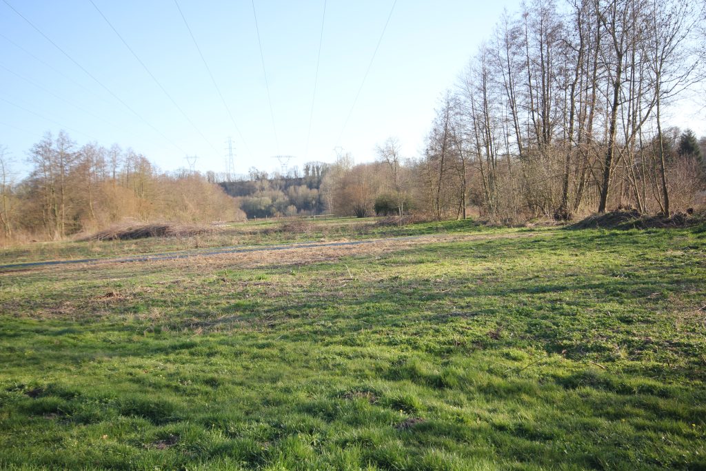 226 - Montataire - Le Thérain