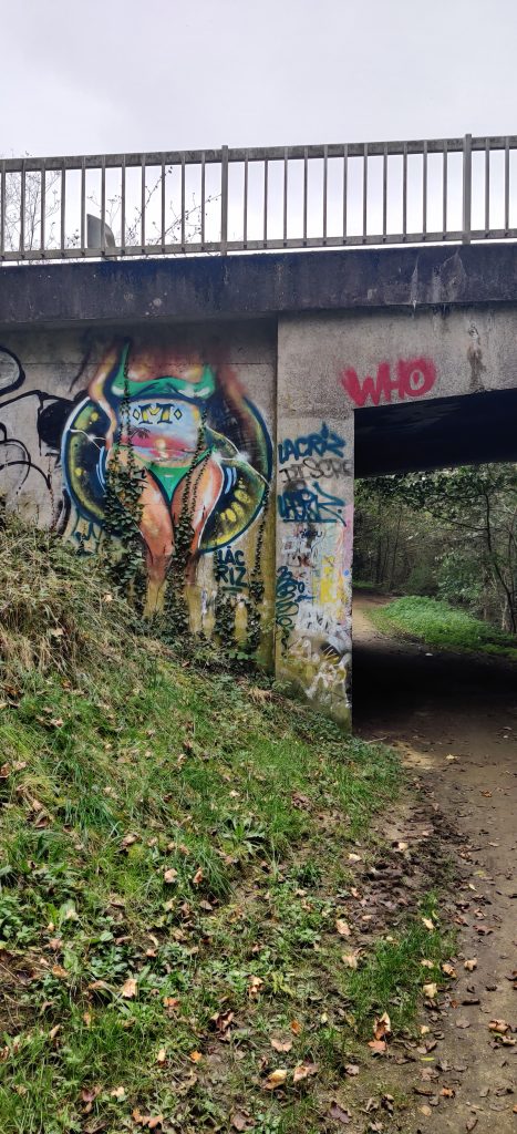 253 - Montataire - Le Thérain - Fresque - pont Graffiti