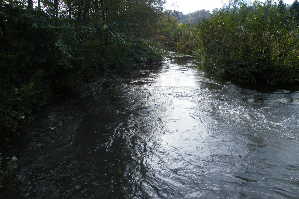 272 - Montataire - Le Thérain