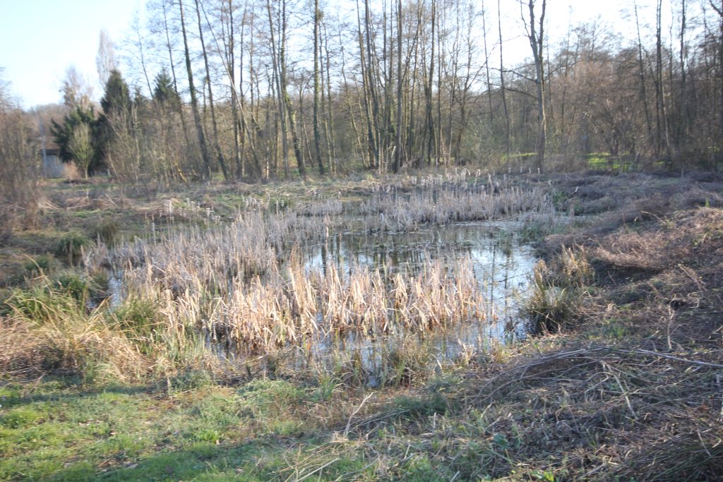 505 - Montataire - Rue Andrée Ginisti - Parc urbain - Etang