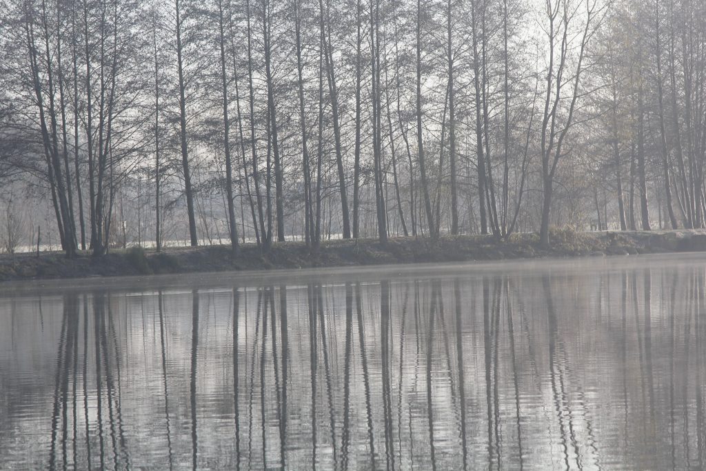 601 - Montataire - Rue Andrée Ginisti - Parc urbain - Etang - Brume