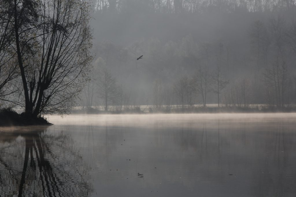 603 - Montataire - Rue Andrée Ginisti - Parc urbain - Etang