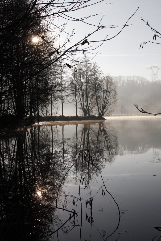 607 - Montataire - Rue Andrée Ginisti - Parc urbain - Etang