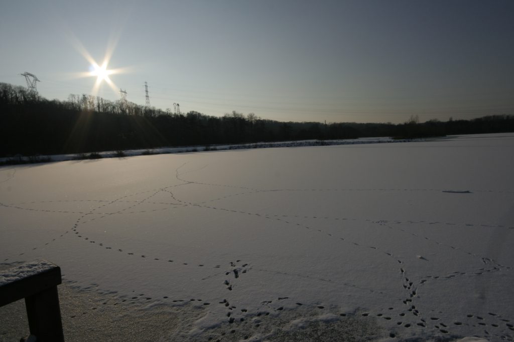 608 - Montataire - Rue Andrée Ginisti - Parc urbain - Etang