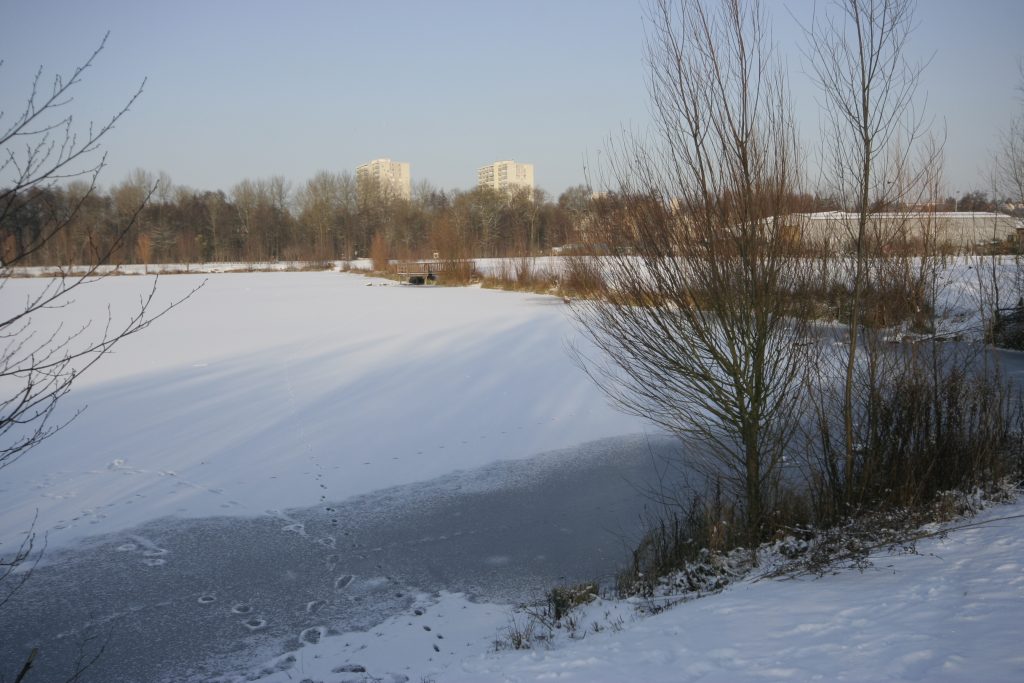 701 - Montataire - Rue Andrée Ginisti - Parc urbain - Etang - Gel