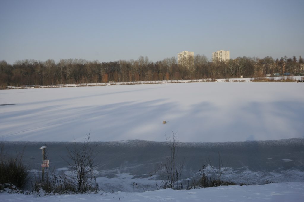 702 - Montataire - Rue Andrée Ginisti - Parc urbain - Etang - Gel