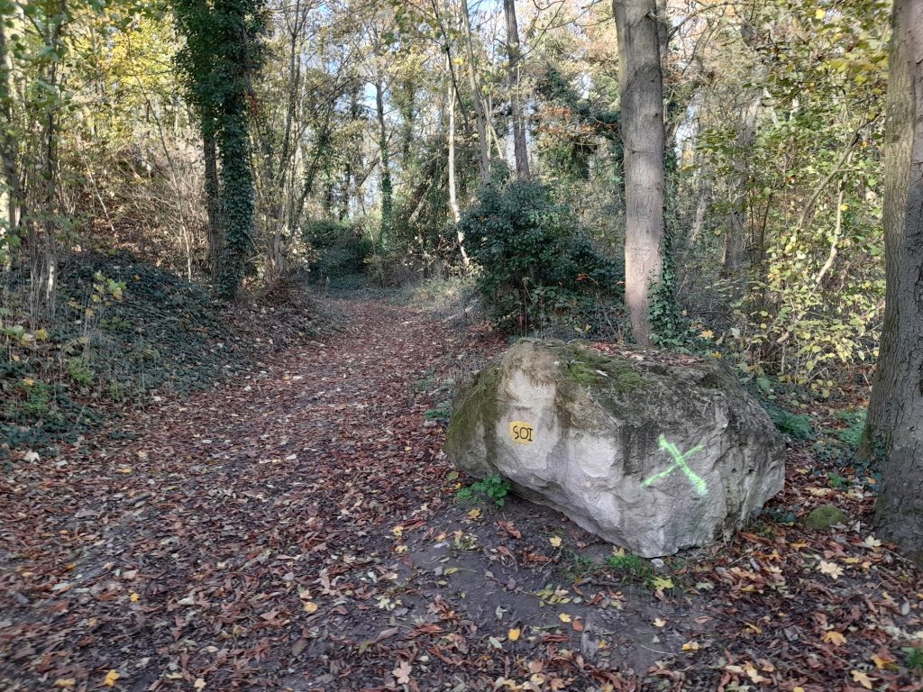 BOIS Communal20201114_151502