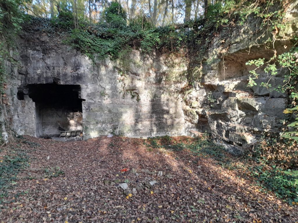 BOIS Communal20201114_152044