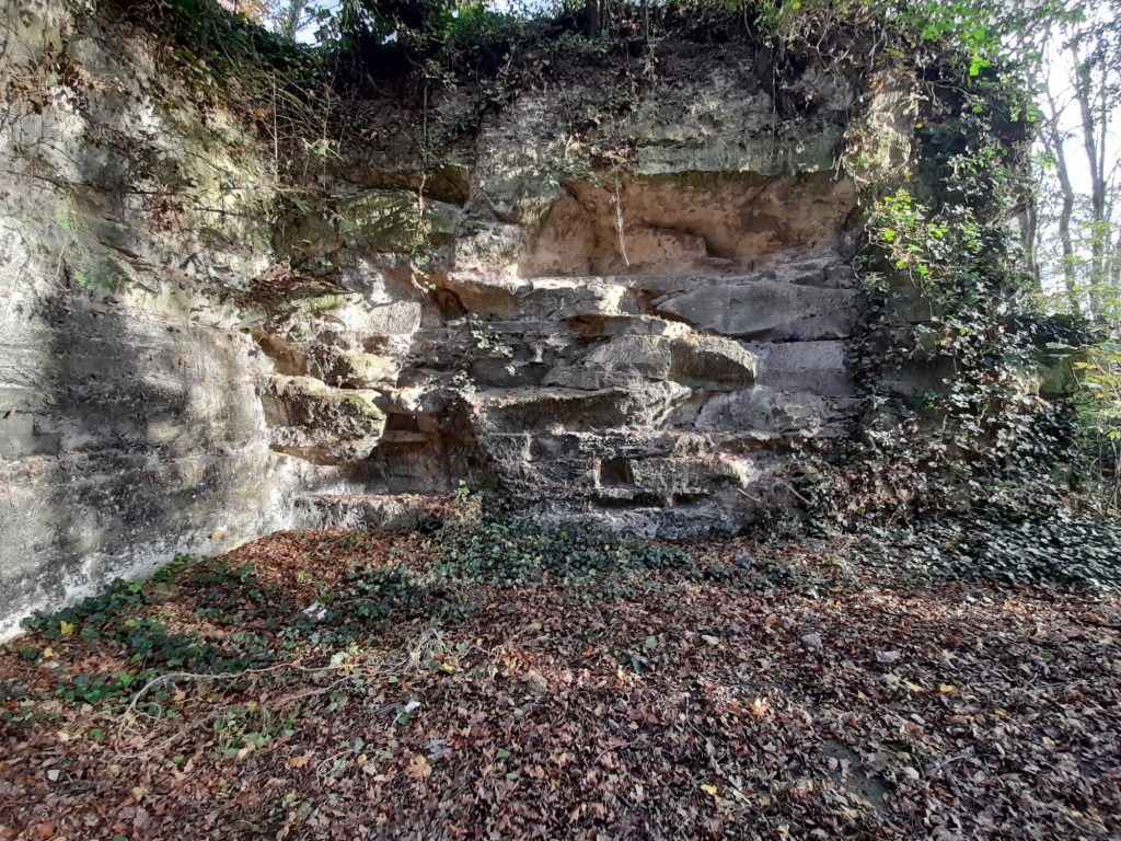 BOIS Communal20201114_152106