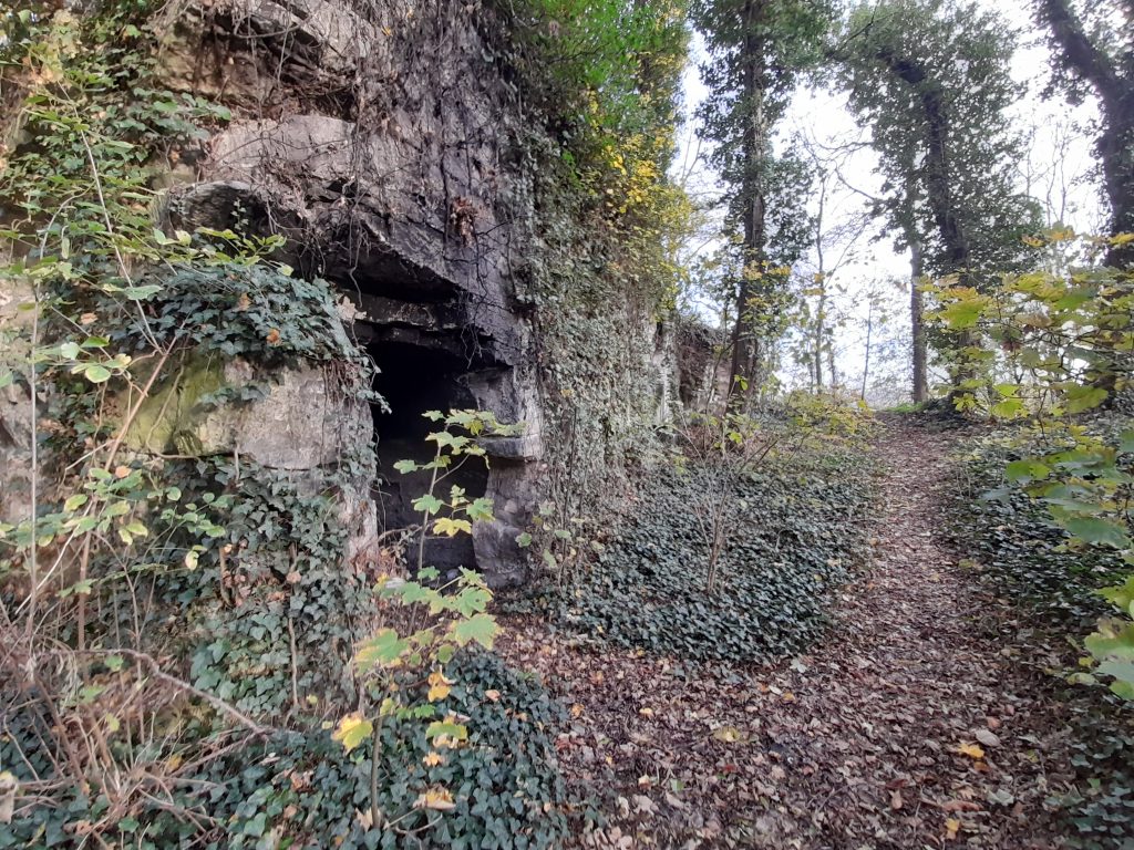 BOIS Communal20201114_152214