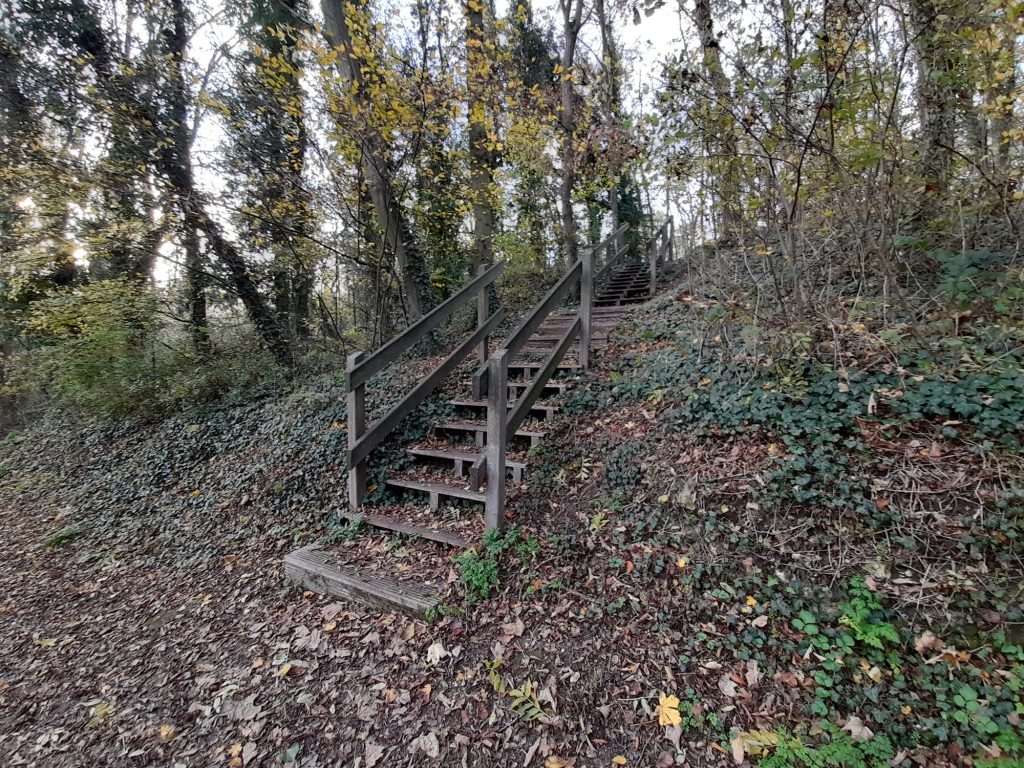 BOIS Communal20201114_152340