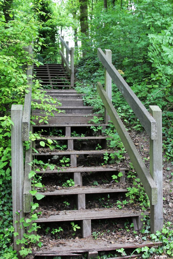 BOIS ESCALIER IMG_1080