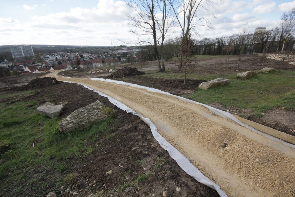 BOIS GODART IMG_1508