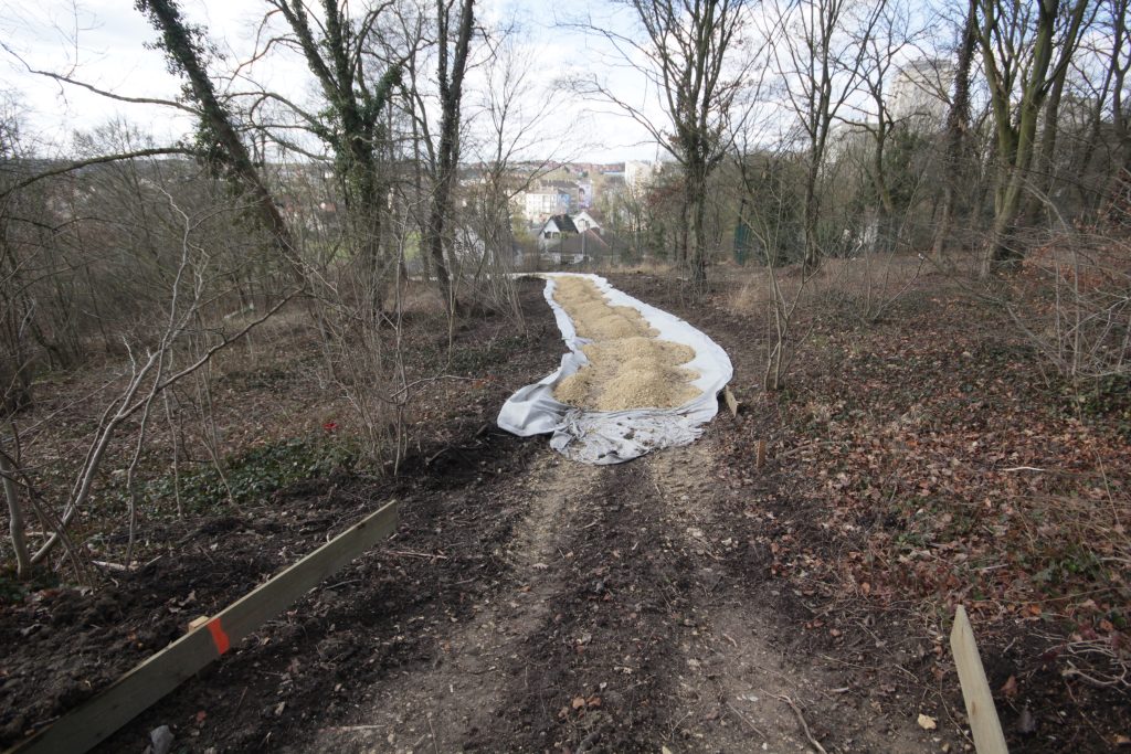 BOIS GODART IMG_1513