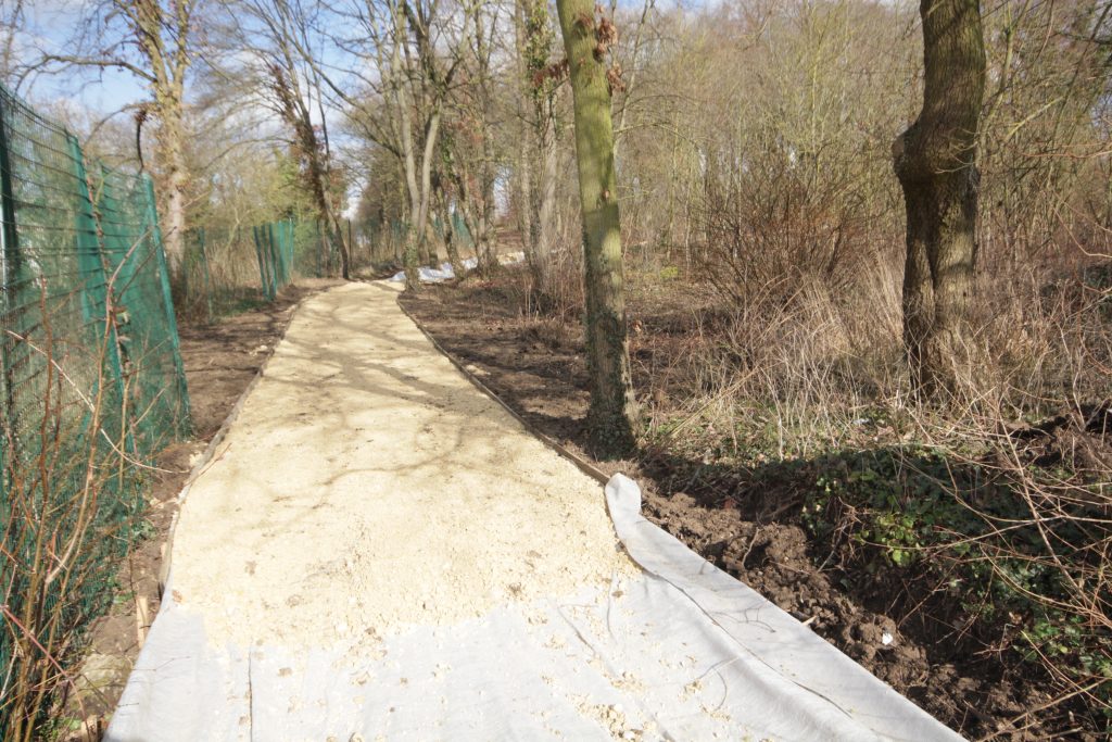 BOIS GODART IMG_1514