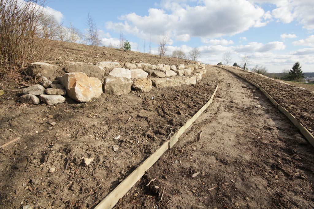 BOIS GODART IMG_1515