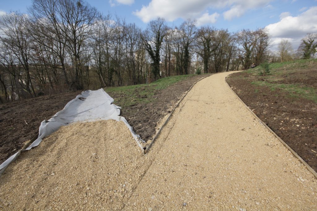 BOIS GODART IMG_1516