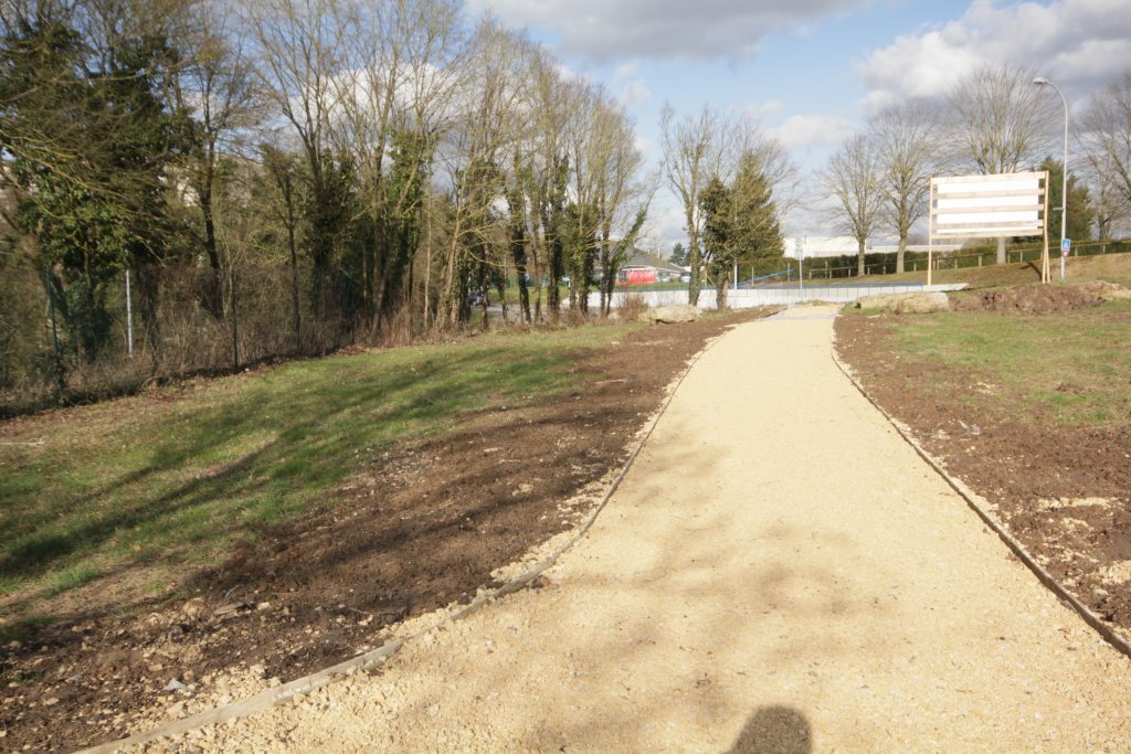 BOIS GODART IMG_1518