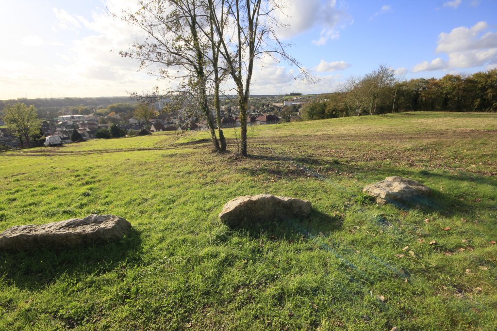 BOIS GODART _MG_9740