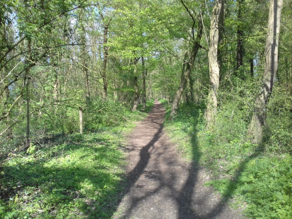 Bois 20190413_154651