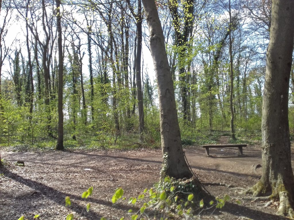 Bois 20190413_155111