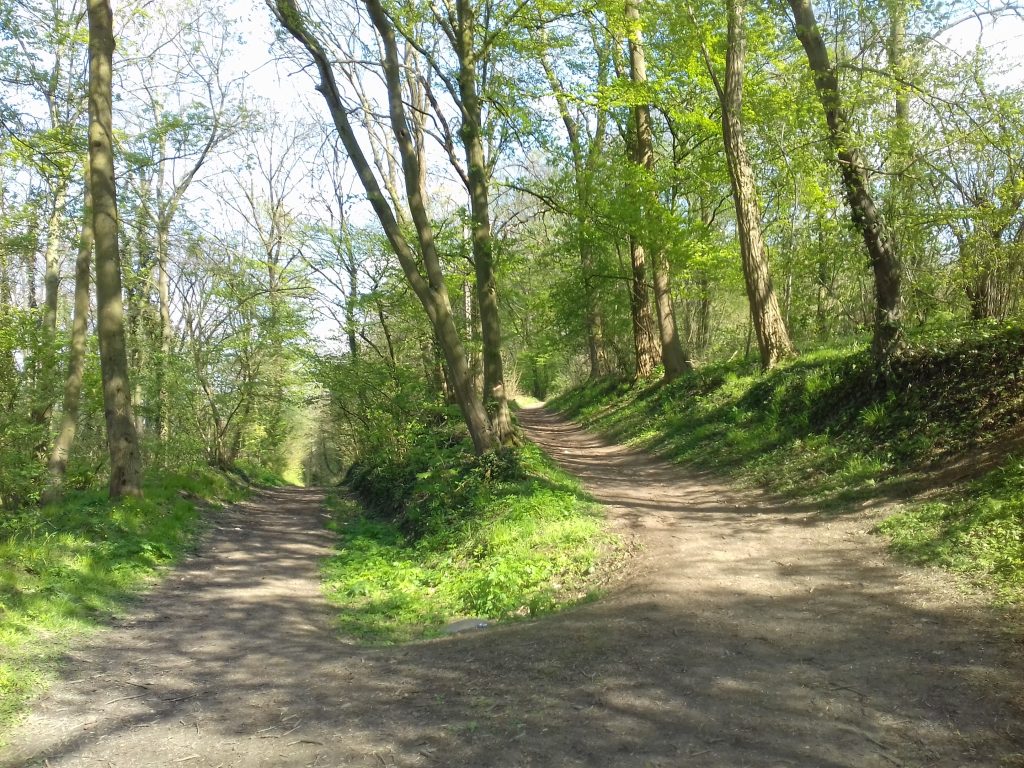 Bois 20190413_161702