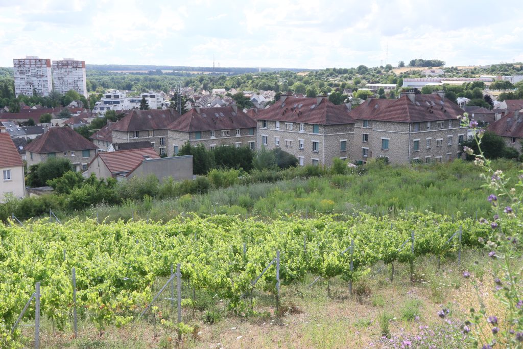 CHERES VIGNES GUESDE CITE IDEM aaaa C7D_8312