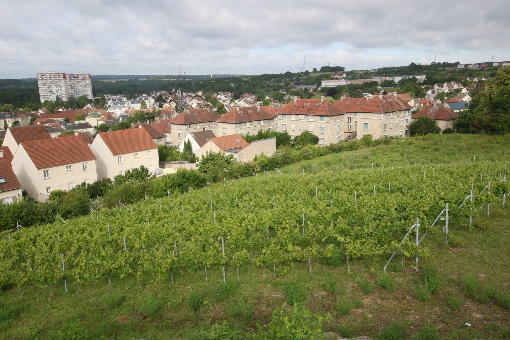 CHERES VIGNES GUESDE Cité C7D_8110
