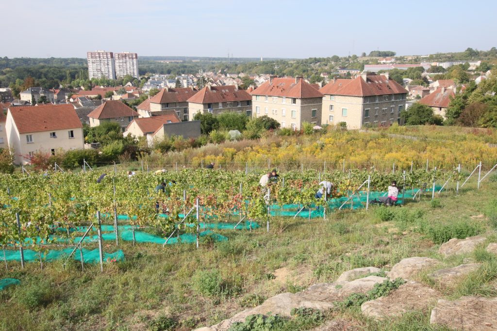 CITÉ GUESDE C7D_9081