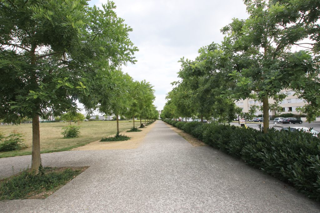 COULEE VERTE C7D_8926 LIVRE