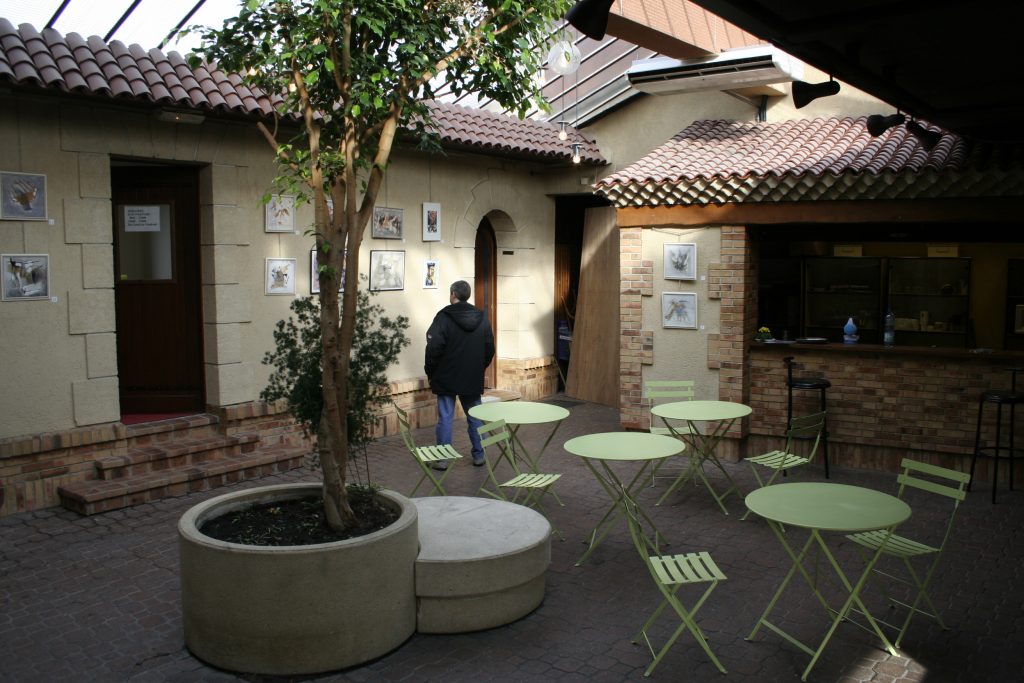 DEPORTES PALACE _MG_8867 bis