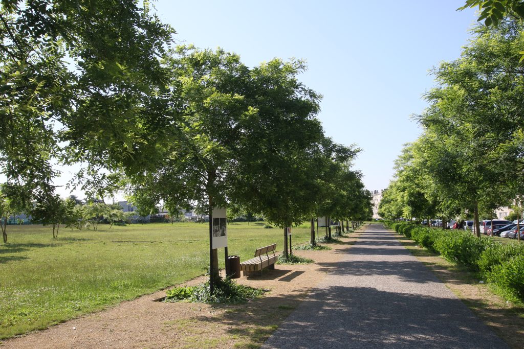 FRANCE COULEE VERTE C7D_8104