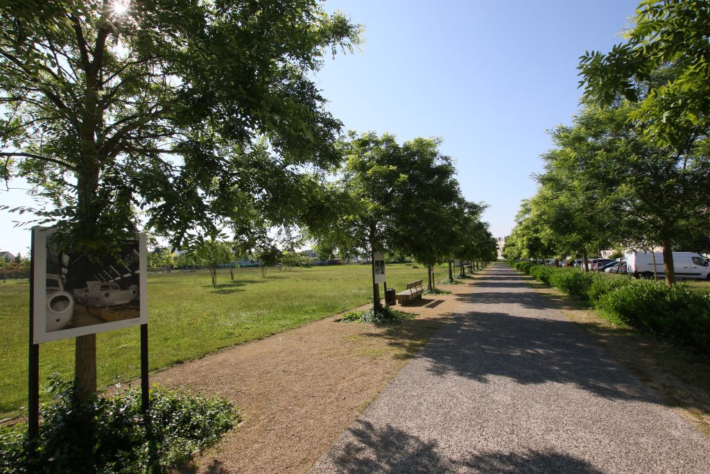 FRANCE COULEE VERTE C7D_8105