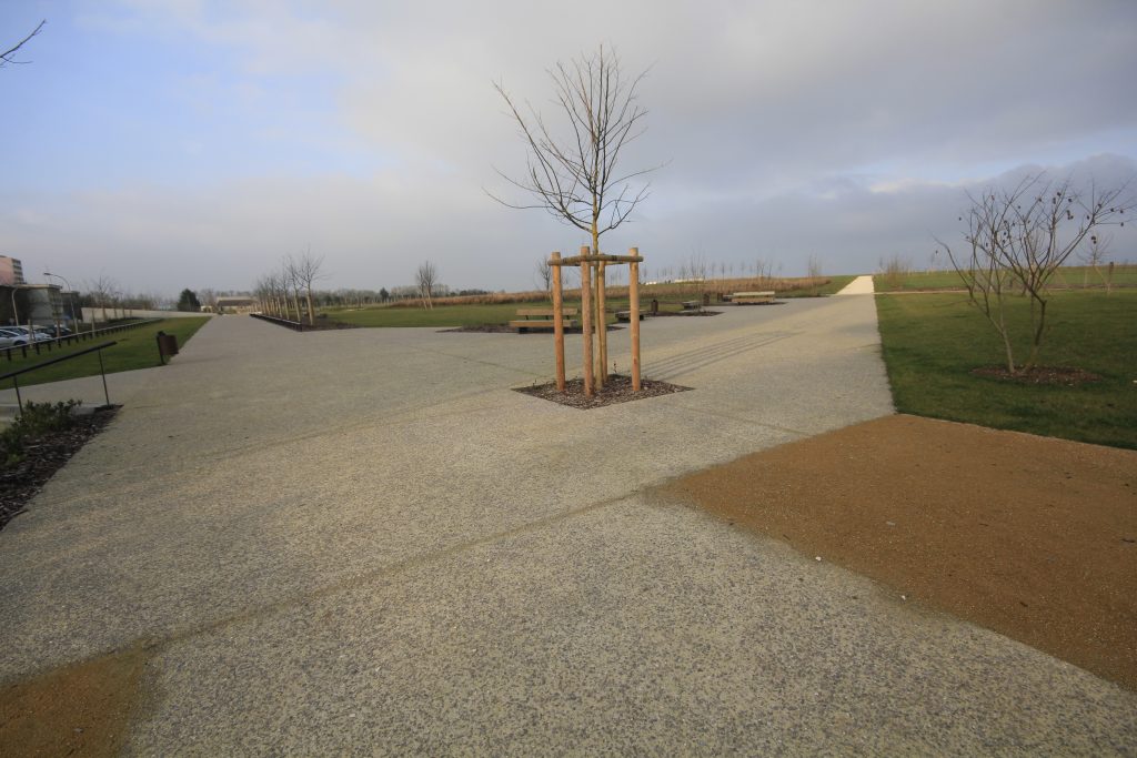 FRANCE COULEE-VERTE _MG_0884