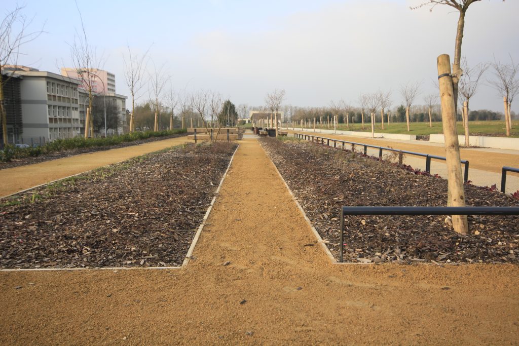 FRANCE COULEE-VERTE _MG_0889