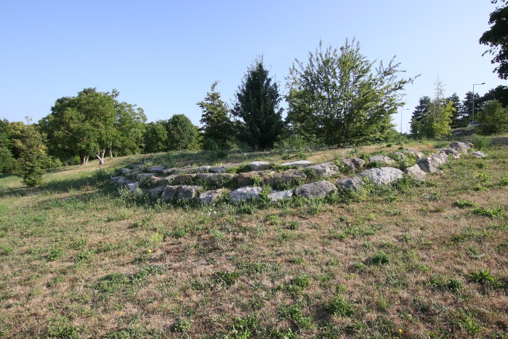 FRANCE GODARD C7D_8350