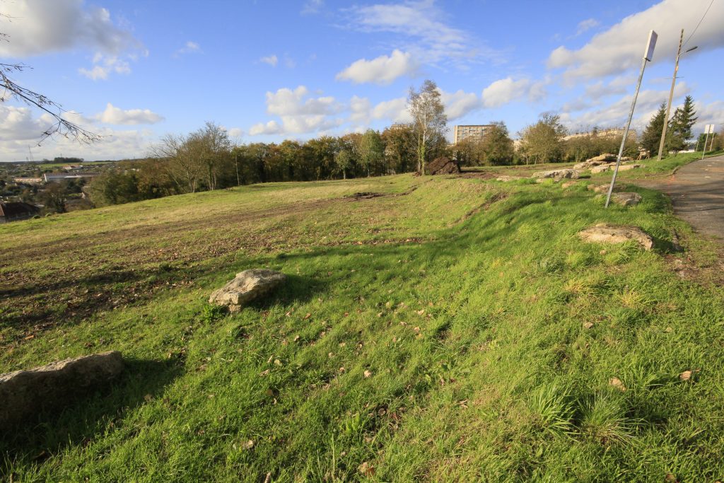 FRANCE Godard _MG_9739