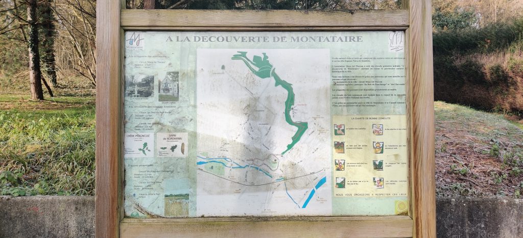 IMG_20250215_103800__01