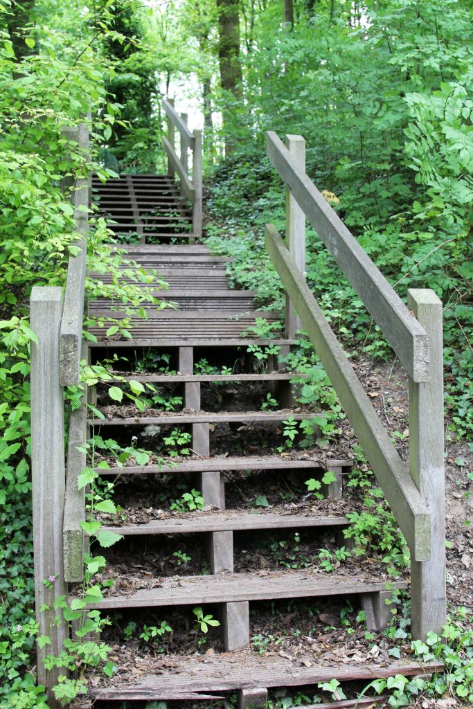 Page 51-01 BOIS ESCALIER IMG_1080 LIVRE